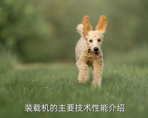 裝載機鏟尖什么樣子,反鏟裝載機是什么樣子...